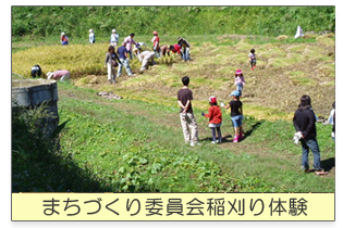 稲刈り体験